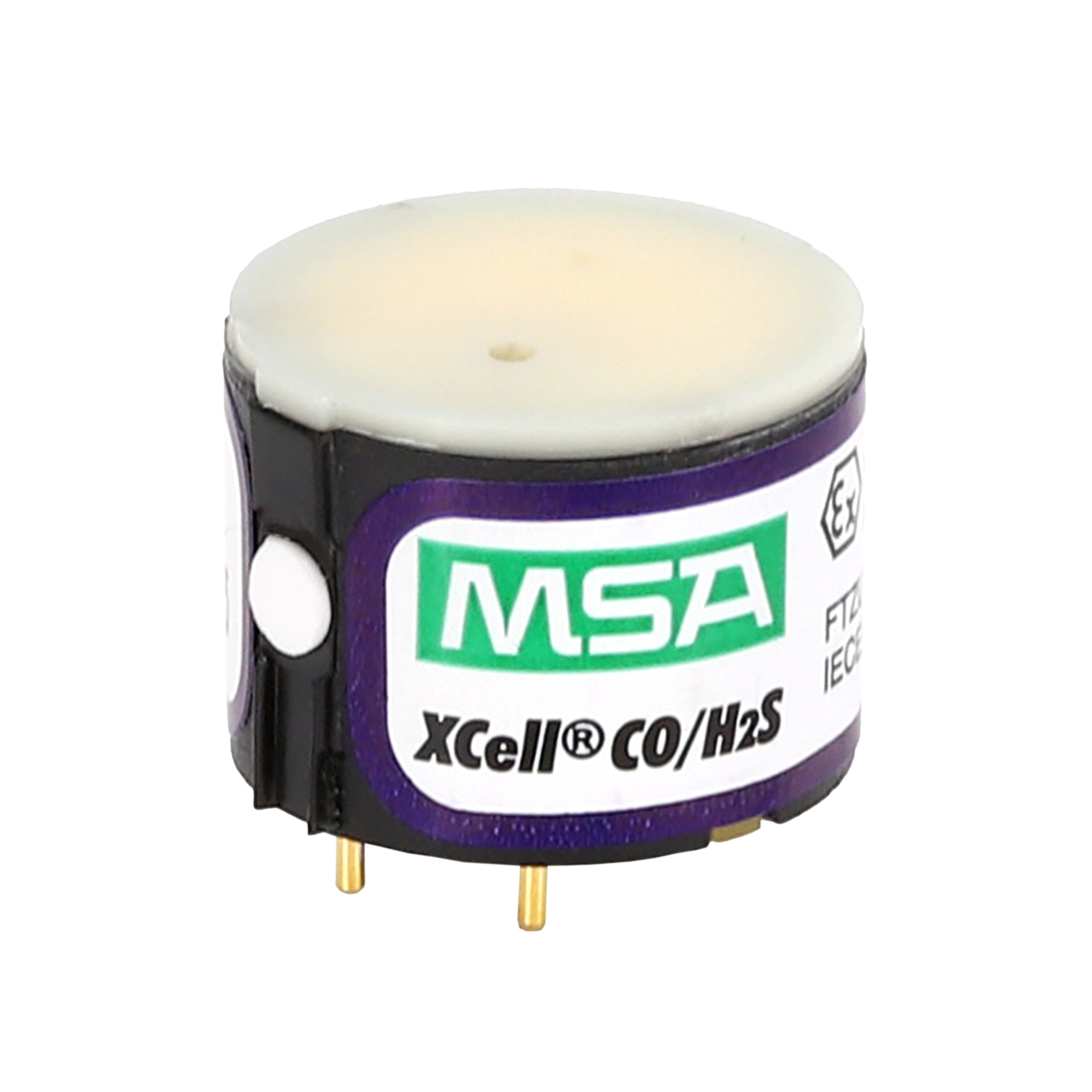 Sensor Replacement Kit CO/H2S